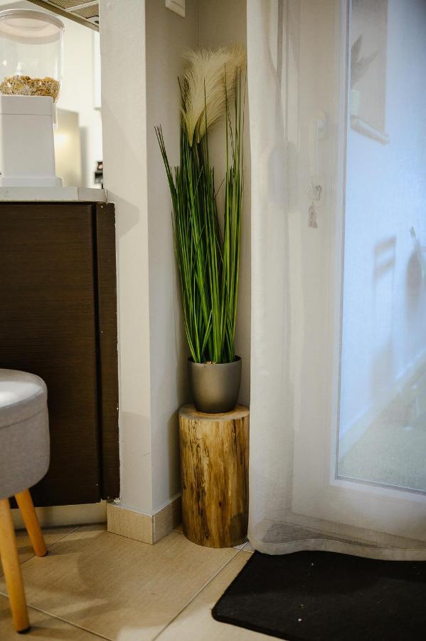 Le Petit Jardin #2 Apartman Vólosz Kültér fotó